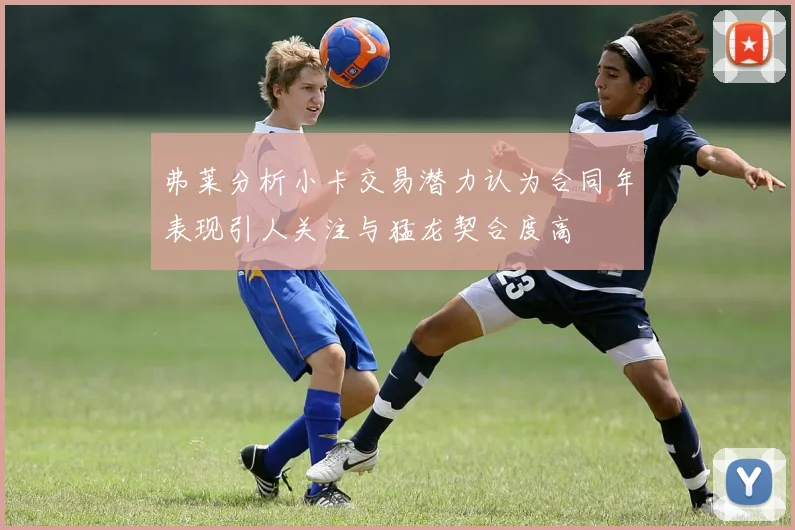 弗莱分析小卡交易潜力认为合同年表现引人关注与猛龙契合度高